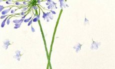 2022年姓李的女孩带英的名字