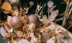 十二星座品味排行