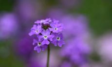 霸气网名取名技巧