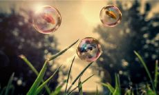 b开头的英文名分享