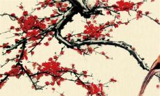 好相处 这几个星座给点甜头就好开心