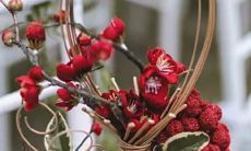 怡然自得？12星座慢生活的状态