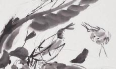 属虎的女孩小名叫什么好