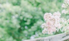 2020年农历五月十九日出生的男孩满分名字推荐