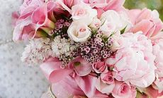 上班族 这些星座喜欢幻想玛丽苏剧情