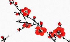 圣母心泛滥 总想救人于水火的星座