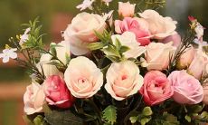 生肖 星座 分析