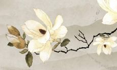 陈思宁的女孩名字