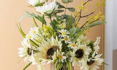 十二星座漫画代表