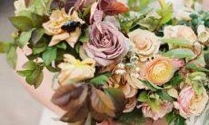 天蝎是水象星座的王