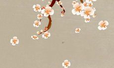 牛年正月宝宝取名 一月牛大气名