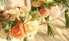 十二星座做过啥令人啼笑皆非的蠢事