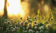 2020年农历五月初四出生的男孩满分好名字推荐