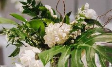 哪个星座最招女人喜欢