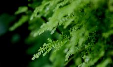 2020年农历五月三十日出生的男孩起名 男宝宝取名好名字大全