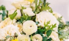 即使爱错了也不会后悔的星座女