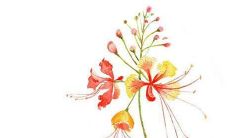 2021女孩名字免费取名