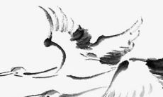 姓吴四字女孩名字大全