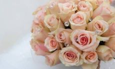 与属猪的相冲的星座