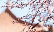 好听的名字女孩古风怎么取 名字推荐