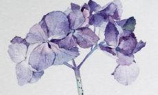 免费测名字打分最准