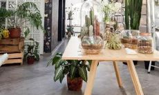 双子适合和什么星座做朋友