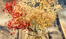 福德宫面相位置