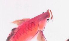 蔡字取名 蔡姓取名