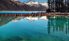 高冷又有魅力的4字网名 干净气质四个字网名