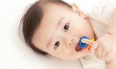 属虎男孩最吉利的小名字