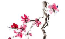 带可属木火的女孩名字大全