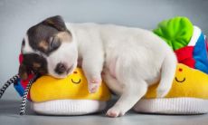 很有贵气福气的微信名 平安健康又聚财的昵称