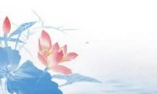 2022年虎宝宝五行取名