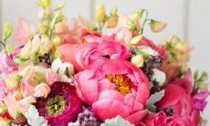 1979年3月1号是什么星座