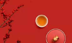 1981年2月6号是什么星座