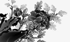 2022女孩取名姓王