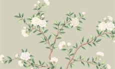 不喜欢白天运动 反而喜欢夜跑的星座