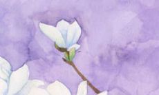 带木字的宝宝名字 男宝宝名字寓意