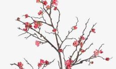 小孩取名字大全2022女孩