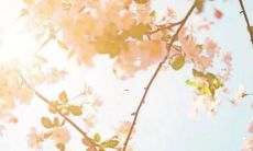 男孩启字的名字