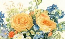 越穷越堕落的星座都有哪些