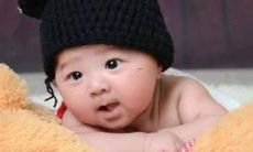 女孩张雅柏名字打多少分