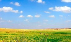 狮子座和巨蟹座配不配 巨蟹男为啥痴迷狮子女