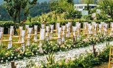 生意场上那些“初生牛犊”的星座