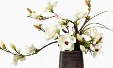 五行缺土女孩100分名字 寓意好的女孩名字