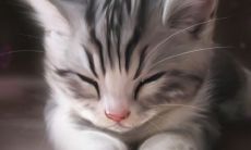 颧骨外扩的人面相如何 颧骨高的女人一定克夫吗