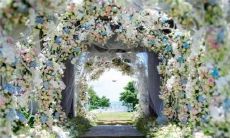 天性善良 不会做伤害别人的事的星座