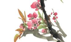 2020年花姓女孩起名字