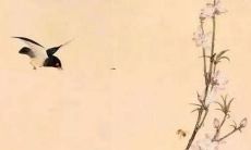 女孩名字叫羽墨怎么样