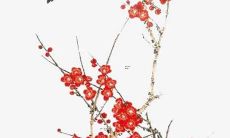 带星字男孩取名三个字 男宝宝大气名字